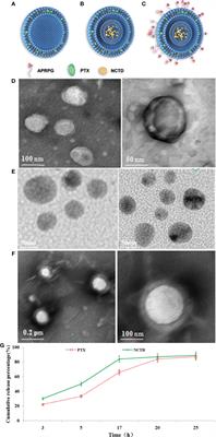 A new core–shell-type nanoparticle loaded with paclitaxel/norcantharidin and modified with APRPG enhances anti-tumor effects in hepatocellular carcinoma